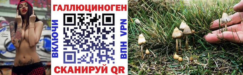 где можно купить наркотик Рыбинск Галлюциногенные грибы MAGIC MUSHROOMS